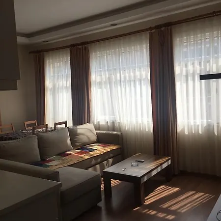 Ali's Istanbul